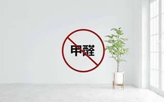 凉山甲醛治理服务：专业工装空气净化与检测